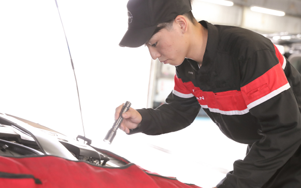 Technical Staff